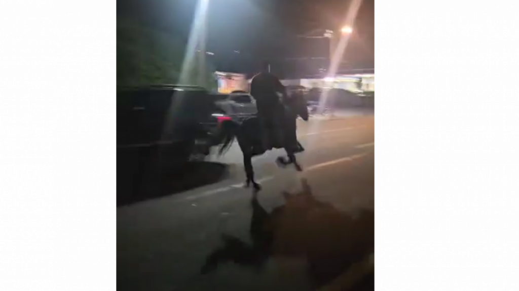  Publican video del momento en que un auto en contra del tr&aacute;nsito impacta un caballo y su jinete en PR 