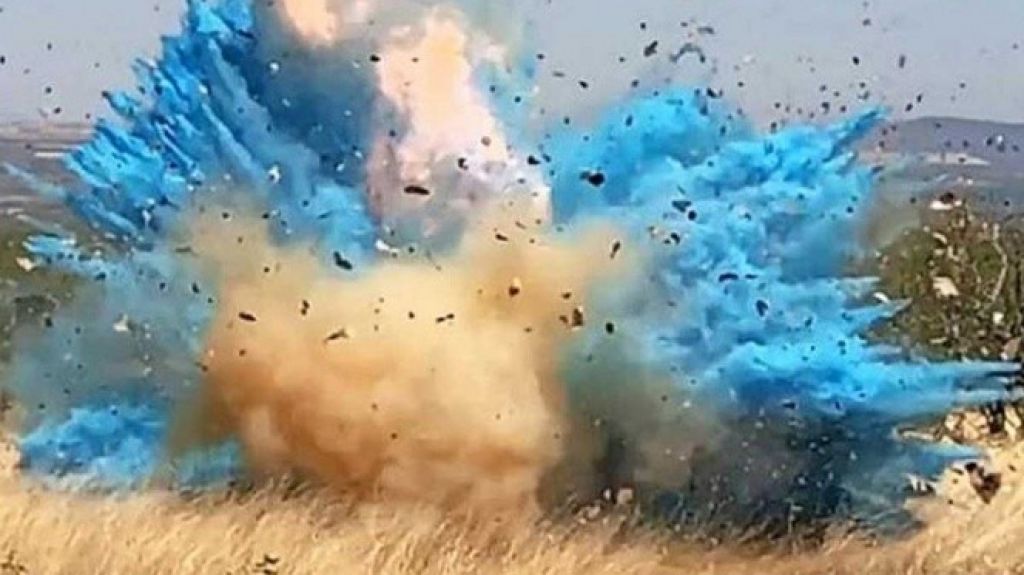  Mujer muere tras explosi&oacute;n en fiesta para revelar sexo de beb&eacute; 