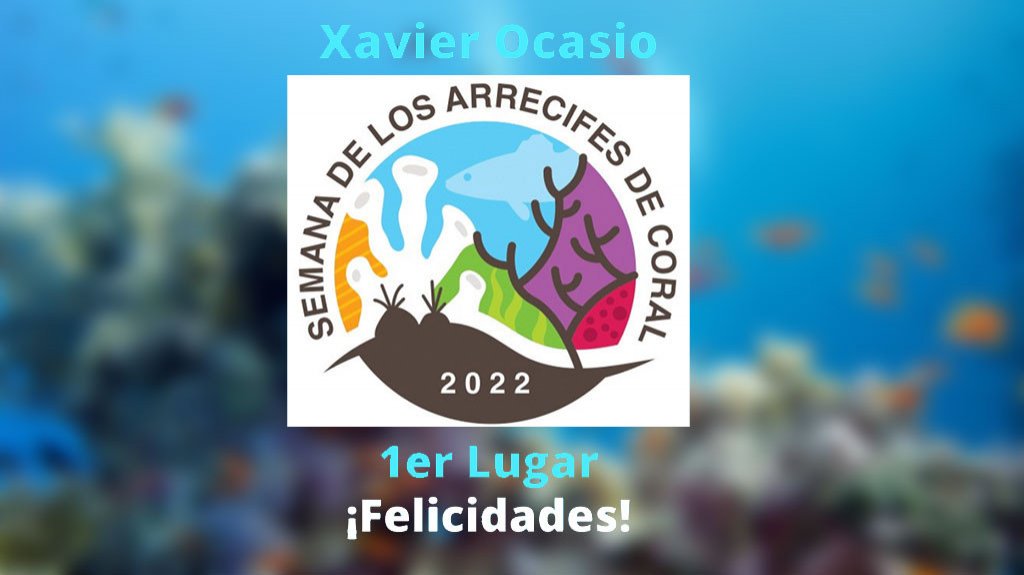  RNA escoge a ganadores del concurso para el afiche de la Semana de los Arrecifes de Coral 