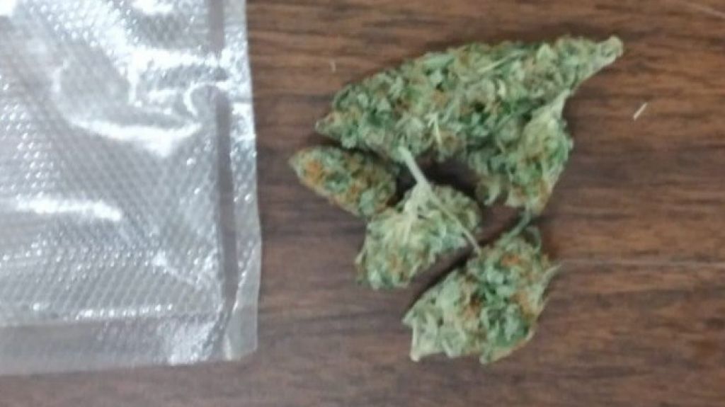  Arrestan en Mayag&uuml;ez pareja de hermanos de 18 y 19 a&ntilde;os con varias &ldquo;Mo&ntilde;as de marihuana&rdquo; 
