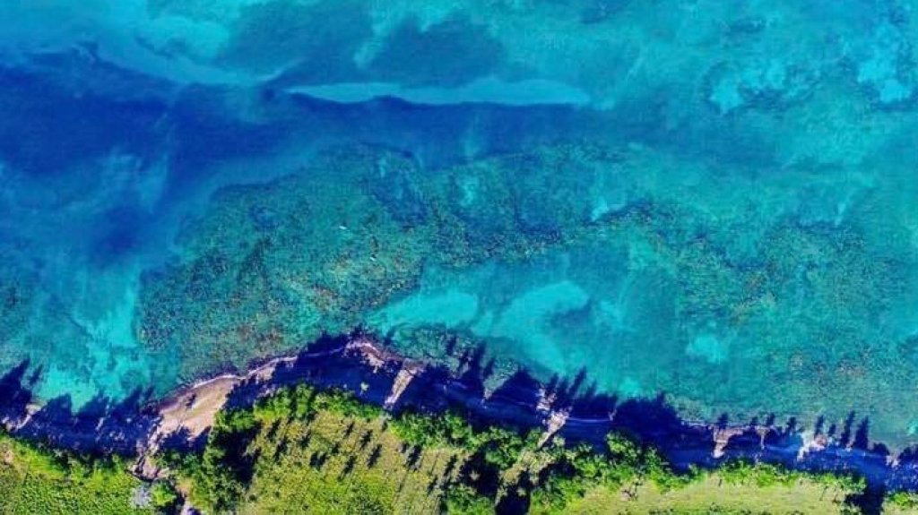  Proponen expandir la Reserva Marina Tres Palmas de Rinc&oacute;n 