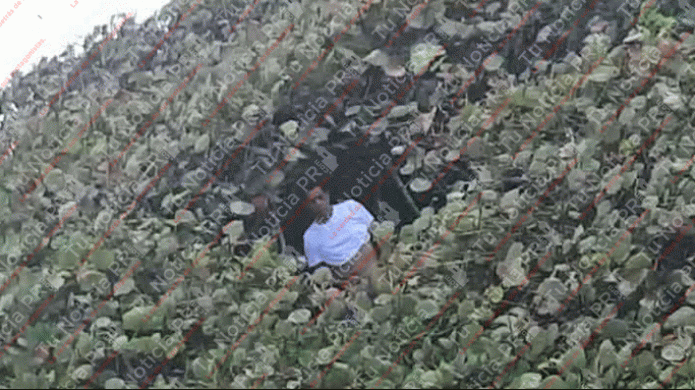 Alerta: Captan a hombre que se dedica a masturbarse en playa de Manatí