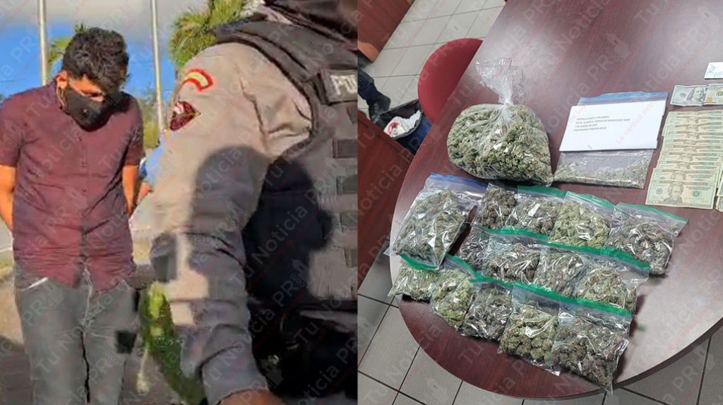  Video: Polic&iacute;as de tr&aacute;nsito San Juan arrestan conductor con varias libras de marihuana &ldquo;Cripy&rdquo; 