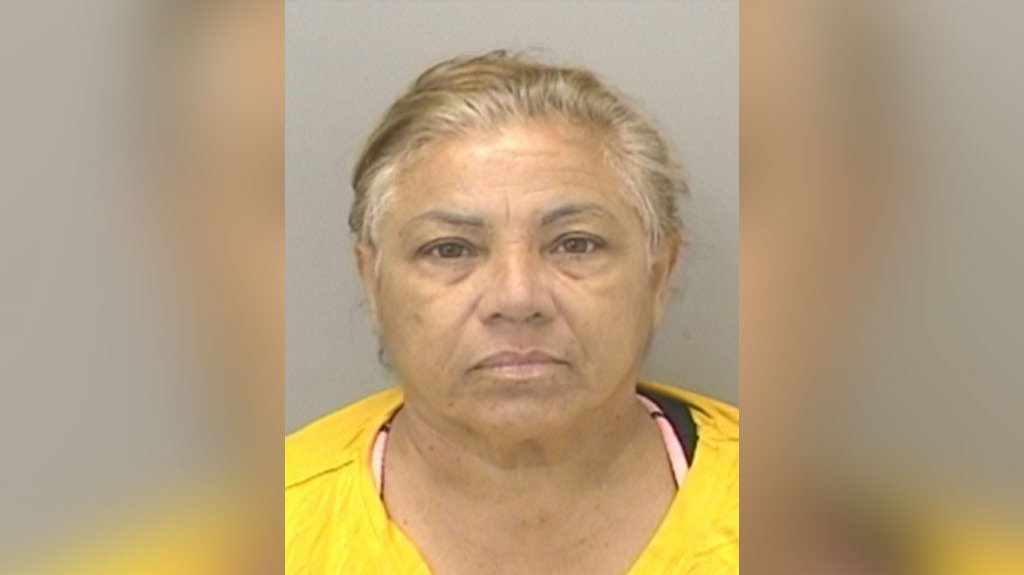  Radicados Cargos de Violencia de Género contra Mujer en San Juan 