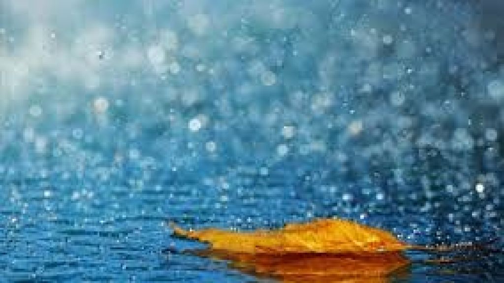  Resumen del estado del tiempo para Puerto Rico del viernes, 5 de abril de 2019. 