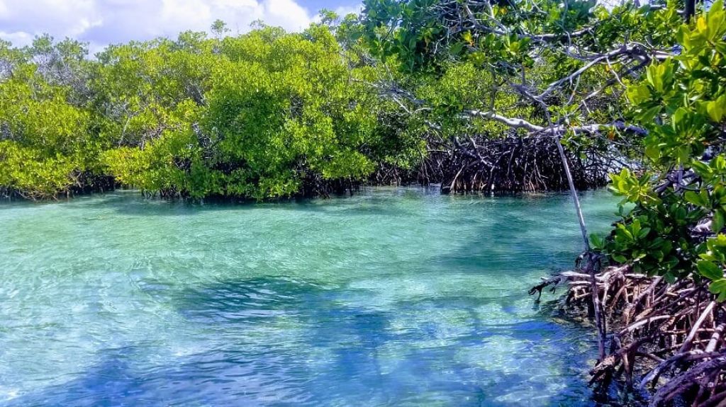  Aviso: DRNA anuncia apertura de las &Aacute;reas Naturales Protegidas y Recreativas a partir del 1 de julio de 2020 