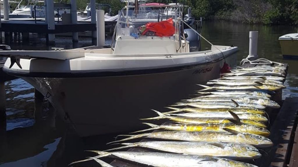  Villas pesqueras operan hasta hoy en la distribuci&oacute;n de pescados y mariscos para Semana Santa 