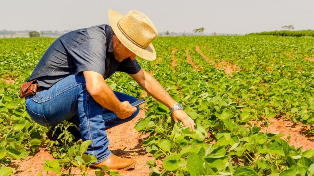  Agricultores pueden ahora contratar v&iacute;a telef&oacute;nica los seguros para sus cultivos 