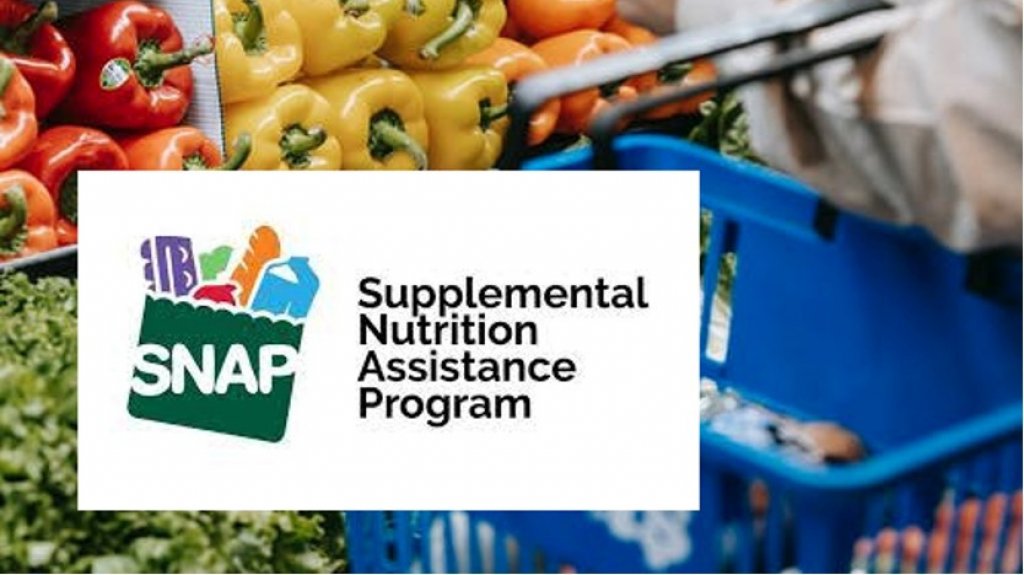  Gobierno crea grupo multisectorial para impulsar transici&oacute;n del PAN al SNAP a nivel federal 