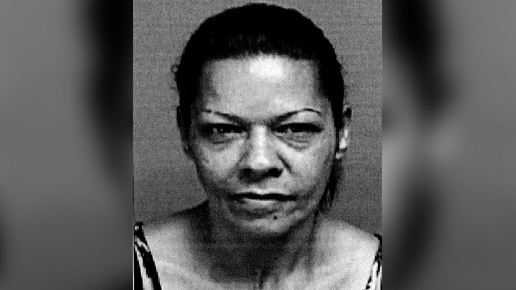  Radican cargos a mujer en Vega Baja por violar orden de protección y amenazar de muerte a su hermano 