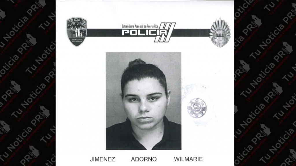  Municipales de Bayam&oacute;n arrestan a mujer que le entr&oacute; a batazos al carro de su padre 