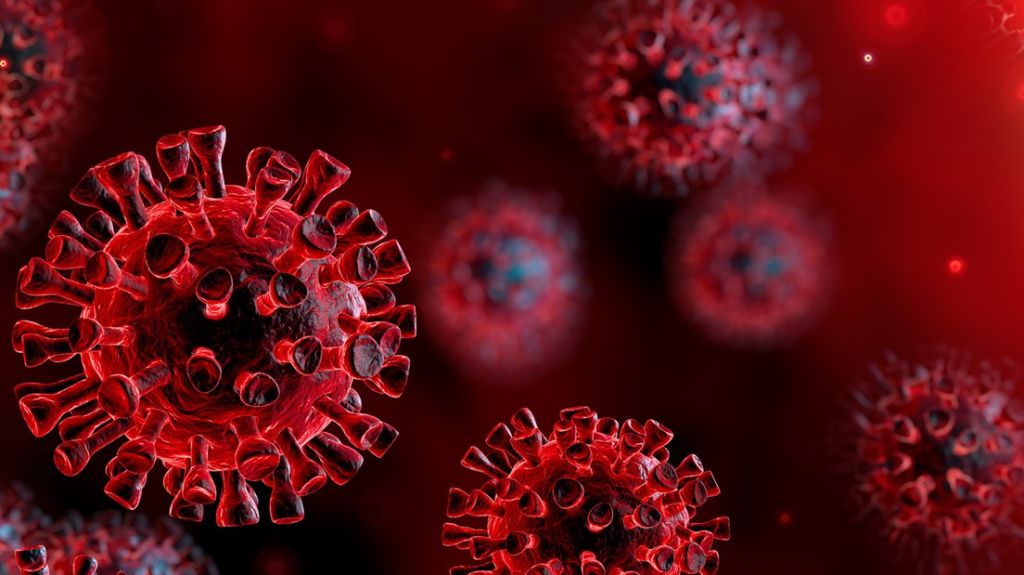  Cient&iacute;ficos descubren c&oacute;mo el coronavirus se une a las c&eacute;lulas humanas para "secuestrarlas" y producir m&aacute;s virus 