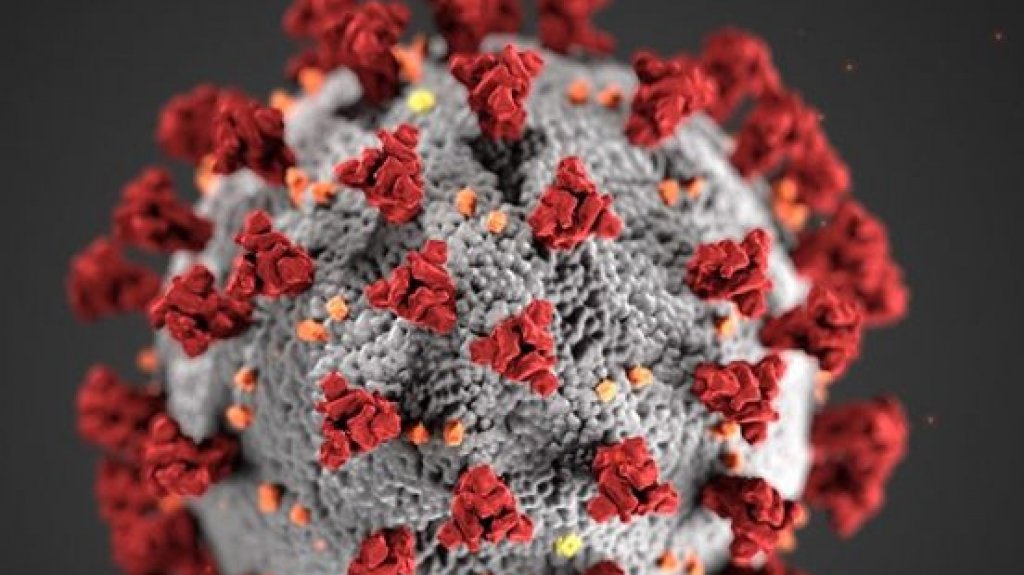  Departamento de Salud reporta cuatro muertes y 1,176 nuevos casos positivos por COVID-19 