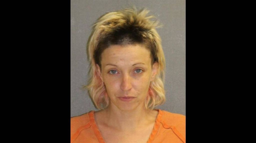  Acusan a mujer de tratar de secuestrar a dos ni&ntilde;os en una playa de Florida 