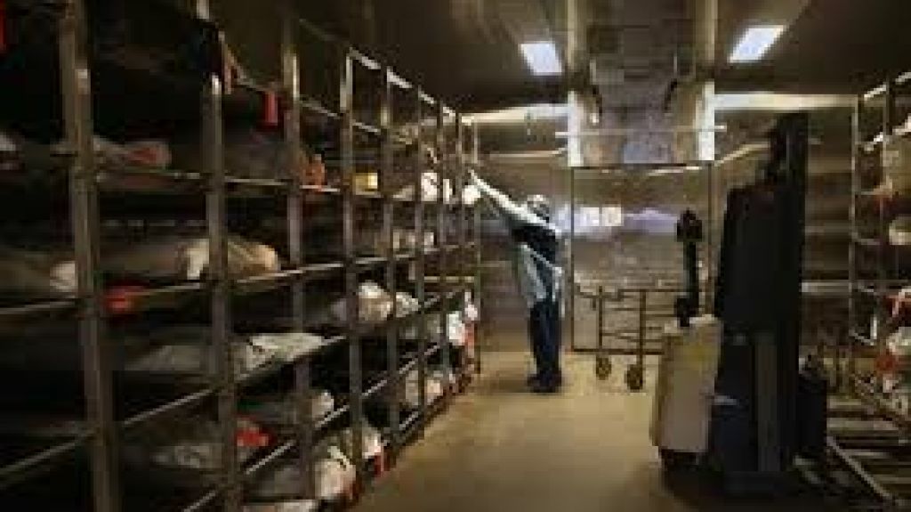  Pat&oacute;logos forenses federales inician labores en el Negociado de Ciencias Forenses 