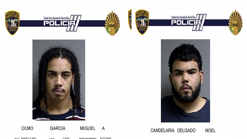  Arrestados en Caguas, ten&iacute;an dentro del carro armas, drogas y un caim&aacute;n 