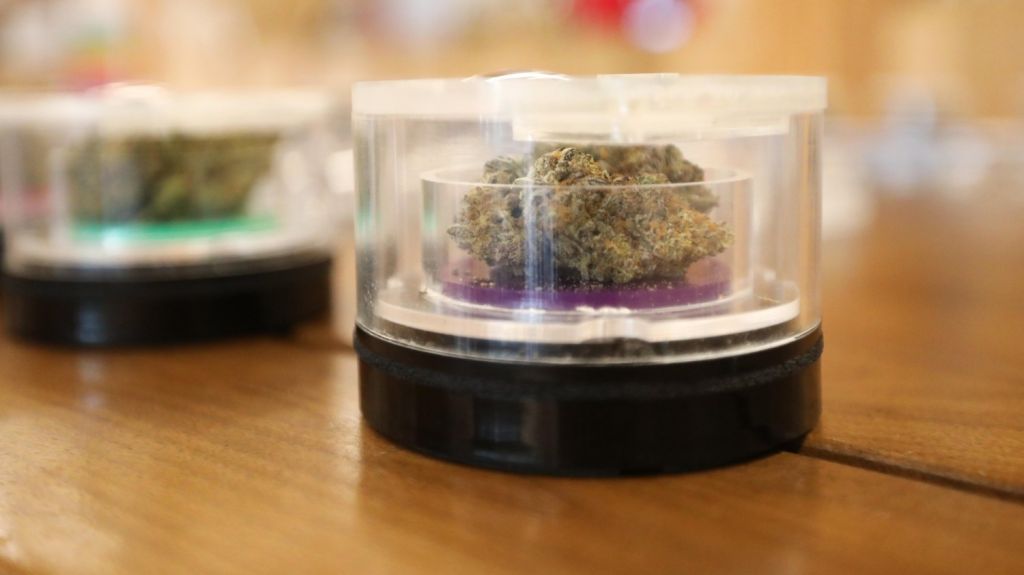  Celebran fallo en Arizona a favor de extractos medicinales de marihuana 