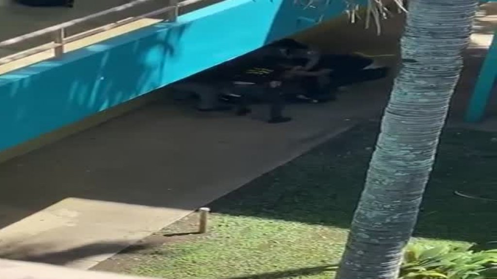  Video: A pu&ntilde;o limpio dos empleados de escuela publica de Caguas 