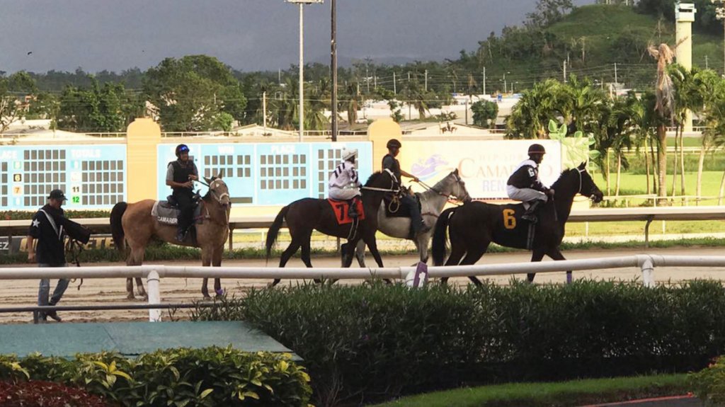  Se llevan el Poolpote de 2.4 millones en Can&oacute;vanas 