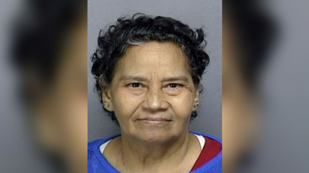  Mujer de Bayamón acusada por maltrato a persona de edad avanzada 