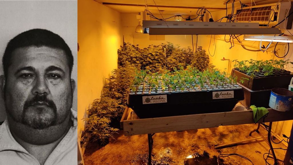  Fotos: Arrestan Padre e Hijo con &ldquo;negocio familiar&rdquo; de marihuana en Utuado 