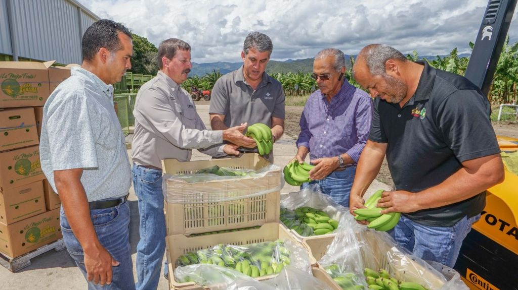 Agricultura anuncia moratoria en pagos y reducci&oacute;n en prima de seguro agr&iacute;cola 