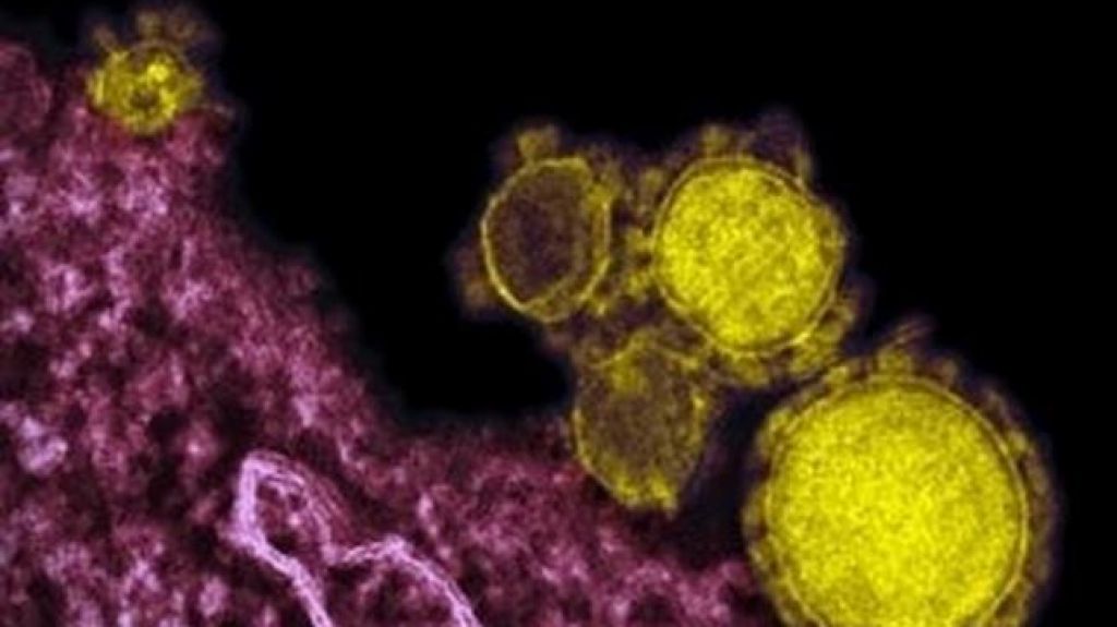  Un obispo y siete sacerdotes dan positivo al Covid-19, enfermedad que ya mató a un párroco y a una monja 