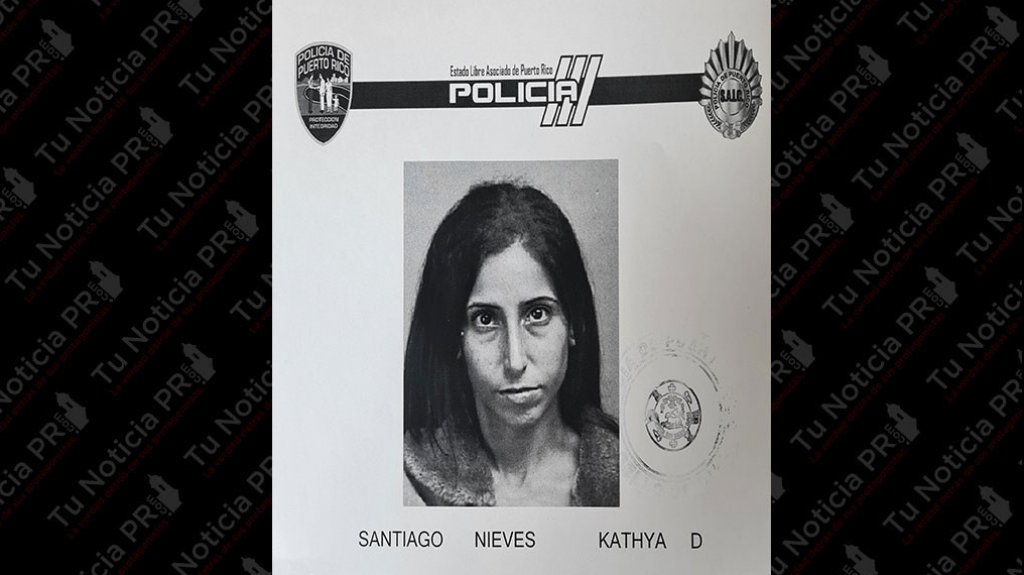  Radican cargos a esta &ldquo;Dama&rdquo; de 33 a&ntilde;os que la mangaron robando en Home Depot de Bayam&oacute;n 