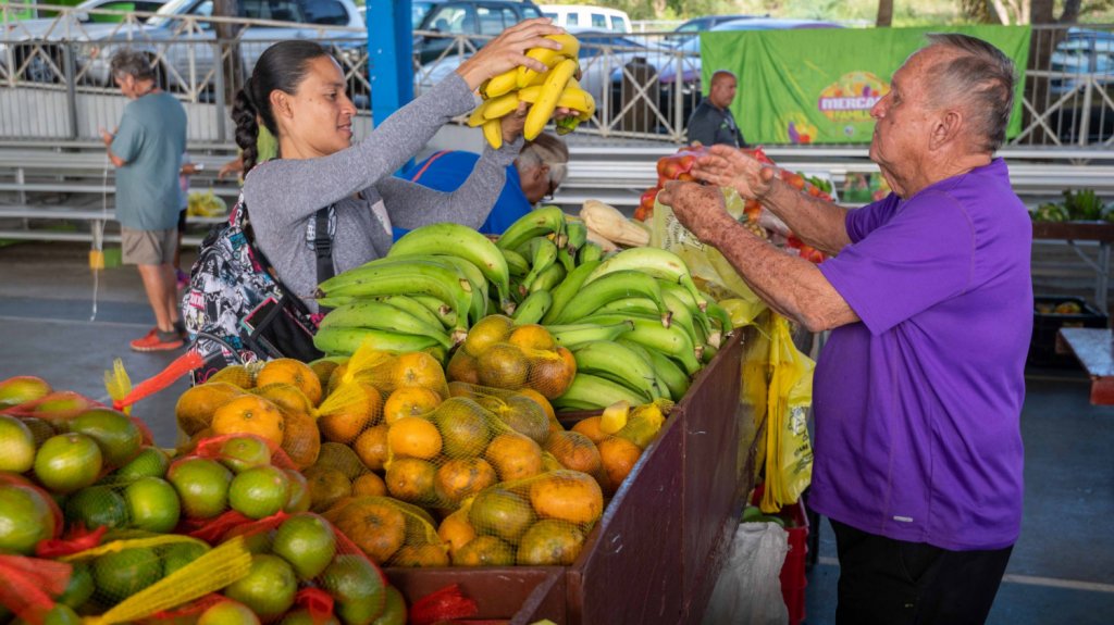  Mercados Familiares reciben m&aacute;s recursos del PAN y llegar&aacute; a todos los municipios en la primera mitad del a&ntilde;o 