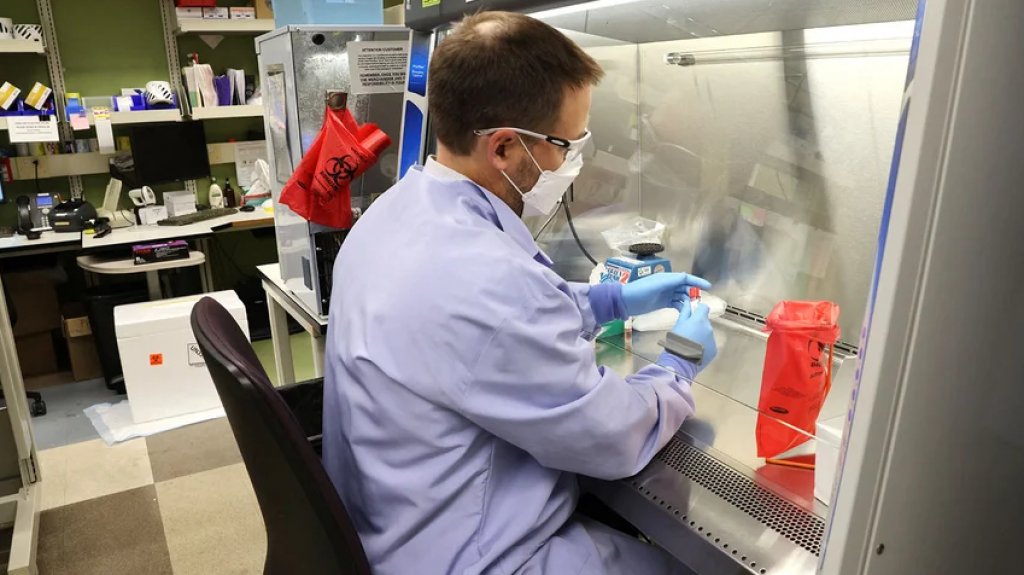  EEUU confirmó por primera vez dos casos de viruela del mono en niños 