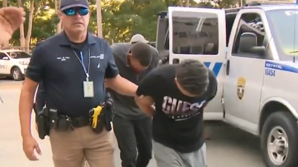  Video: Operativo a nivel isla contra organizaciones dedicadas al robo de autos 