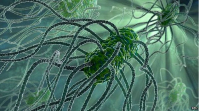 La apocalÃ­ptica posibilidad de un mundo sin antibiÃ³ticos