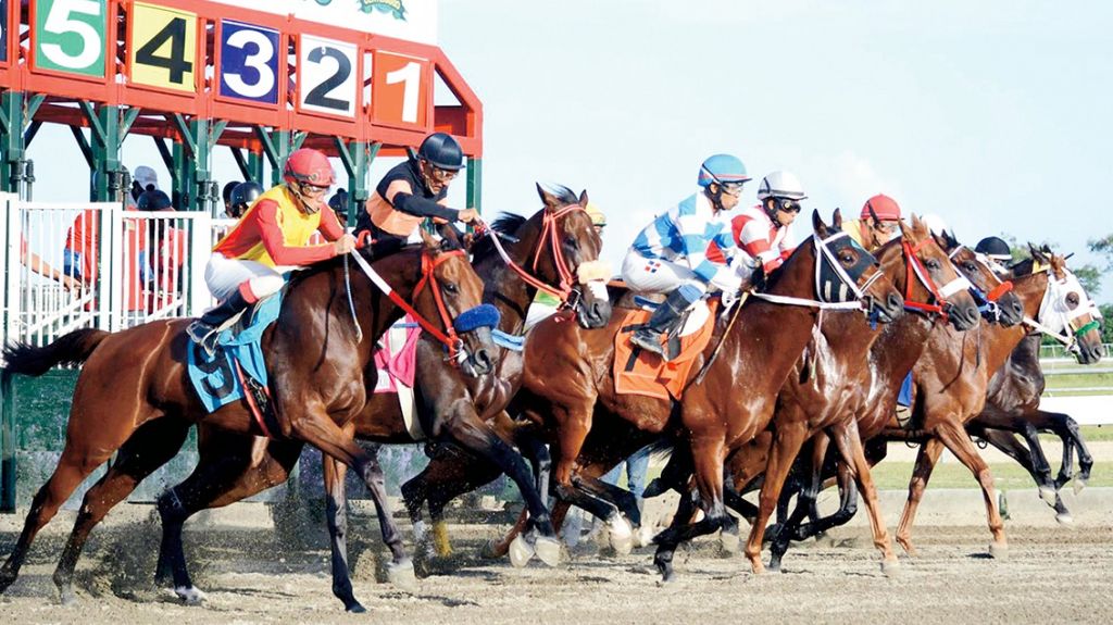  Destacan apuestas por m&aacute;s de 900 mil d&oacute;lares en solo dos d&iacute;as de operaciones del hip&oacute;dromo 