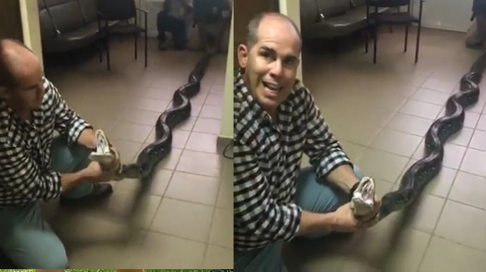 Video: Atrapan gigantesca serpiente pitÃ³n, en residencia de Barceloneta