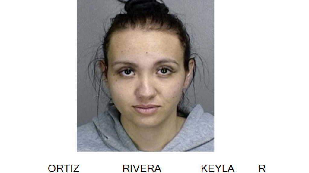  Conduc&iacute;a sin cintur&oacute;n en Vega Baja, la mandaron a para se fue a la huida y luego les dio a los guardias 