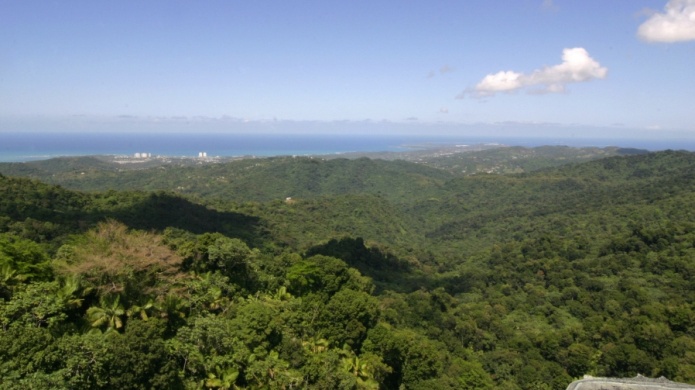 El Yunque y reservas naturales cierran en Puerto Rico por el paso del huracÃ¡n Irma