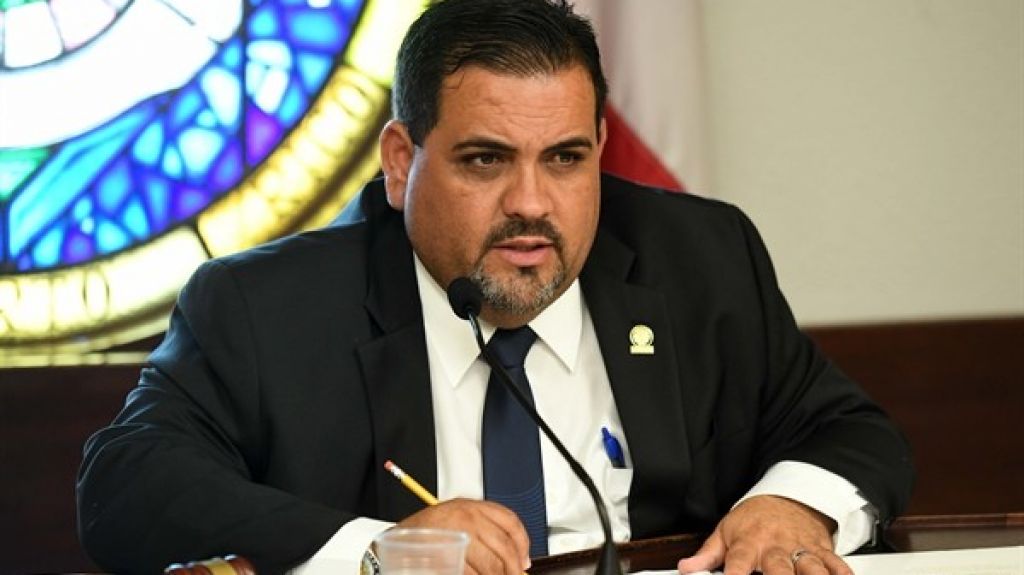  Representante pide se investigue medidas que toman en Salud y DRNA para preservar las abejas 