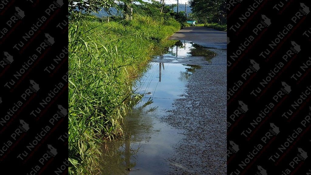  Alcalde de Cabo Rojo denuncia secretario DTOP no contest&oacute; 7 cartas para solucionar problemas en las v&iacute;as p&uacute;blicas 
