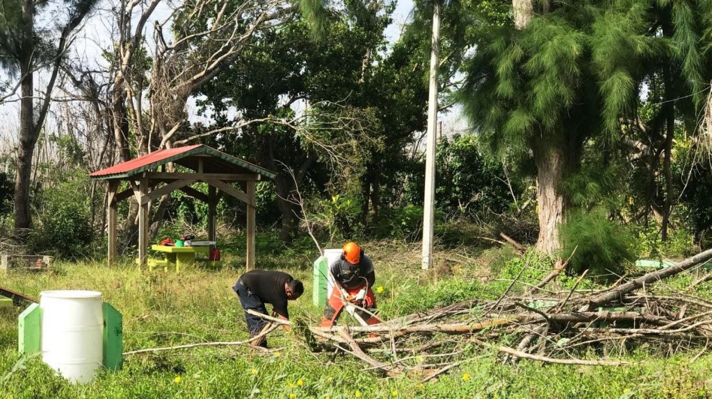  Recursos Naturales, municipio de Lo&iacute;za y vecinos limpian Bosque Estatal de Pi&ntilde;ones 
