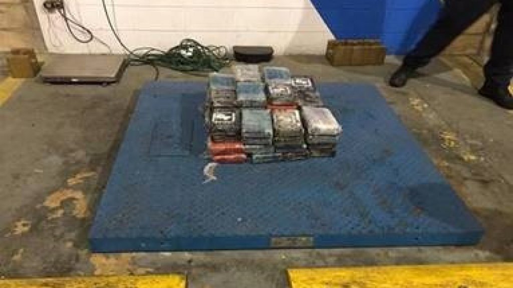  Federales incautan 61 kilos de coca&iacute;na dentro de un contenedor que lleg&oacute; desde Rep&uacute;blica Dominicana 