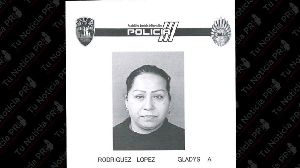  Fichada y 3 mil de fianza a mujer que intent&oacute; cambiar 3 cheques del PUA con licencia falsa 