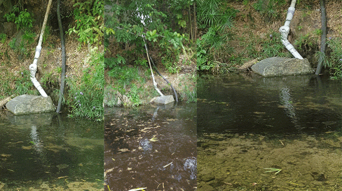 DRNA emite multa a compaÃ±Ã­a con franquicia vencida en el rÃ­o BayamÃ³n