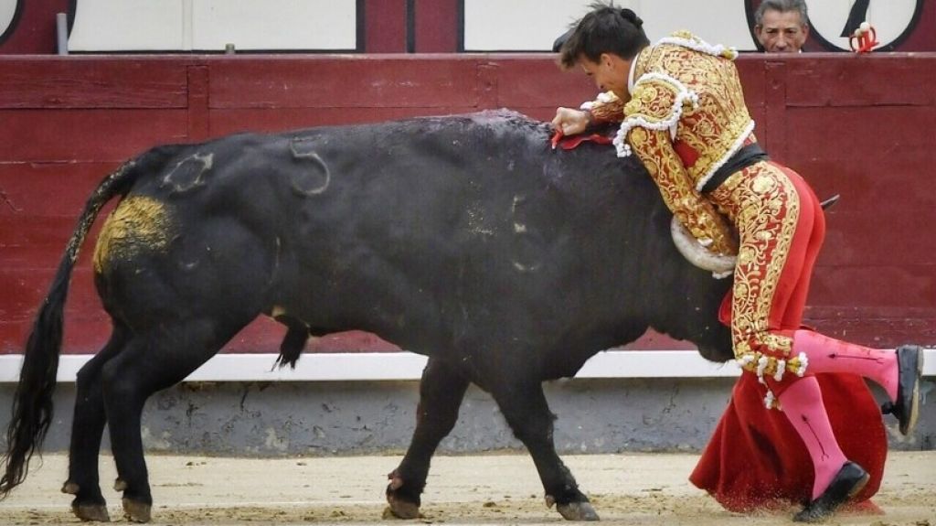  VIDEO: Grave cornada secciona la femoral de un conocido torero, novio de la sobrina del rey de Espa&ntilde;a 