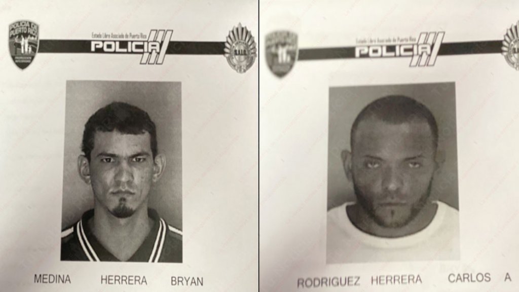  A la c&aacute;rcel dos hermanos que apuntaron con un arma a su vecino en Arecibo 