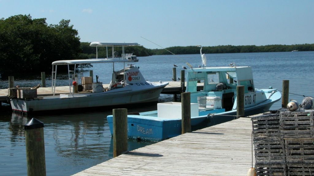  Proh&iacute;ben la pesca comercial durante este fin de semana 