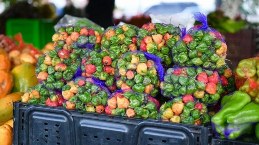  Secretario de Agricultura detalla los cambios sobre los incentivos agr&iacute;colas 