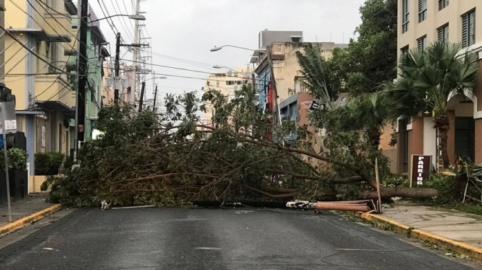 Video: Cerrada la calle Loiza por Ã¡rbol y postes en el suelo