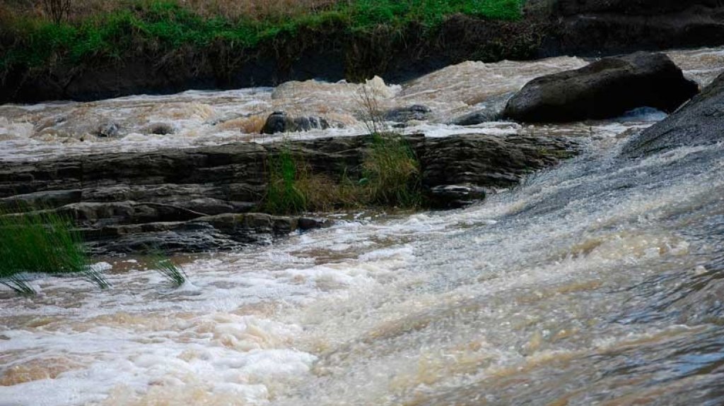  Rescatan sanos y salvos a j&oacute;venes atrapados por crecida de r&iacute;o en Ciales 