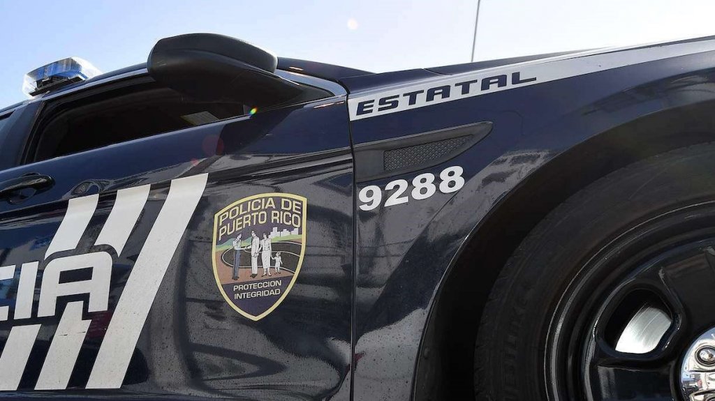  Accidente de tr&aacute;nsito con equinos en Morovis 