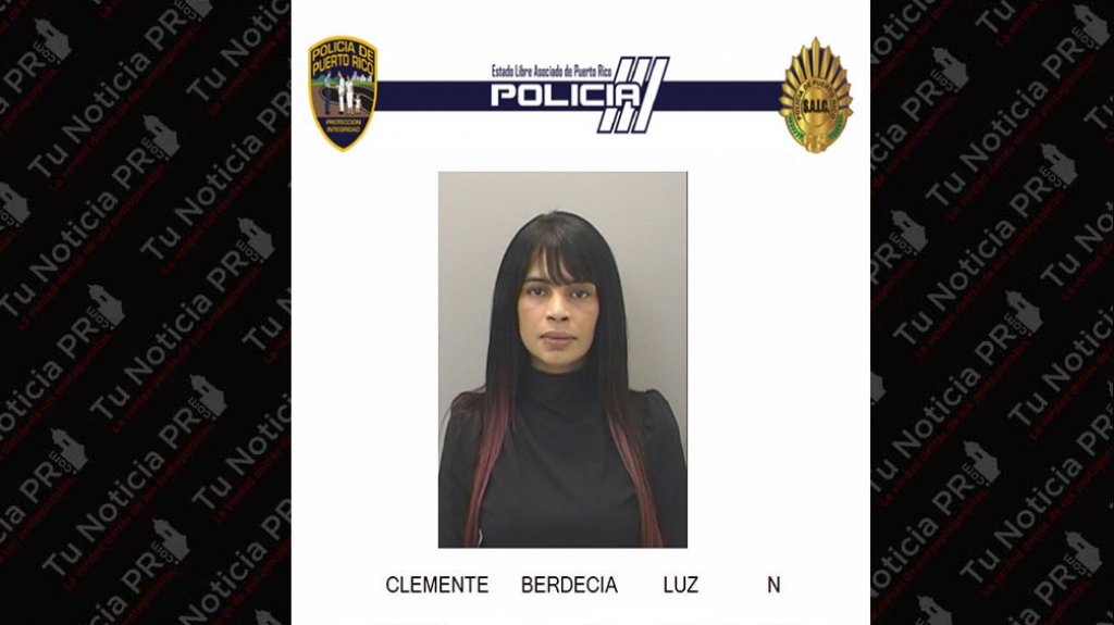  A la cárcel mujer que maltrato a su pareja en San Juan 